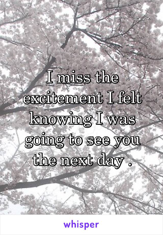 I miss the excitement I felt knowing I was going to see you the next day .