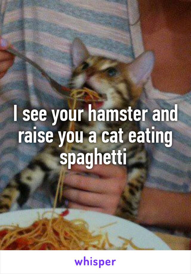 I see your hamster and raise you a cat eating spaghetti 