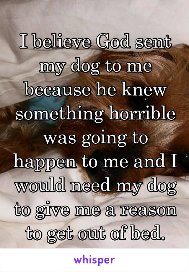 I believe God sent my dog to me because he knew something horrible was going to happen to me and I would need my dog to give me a reason to get out of bed.