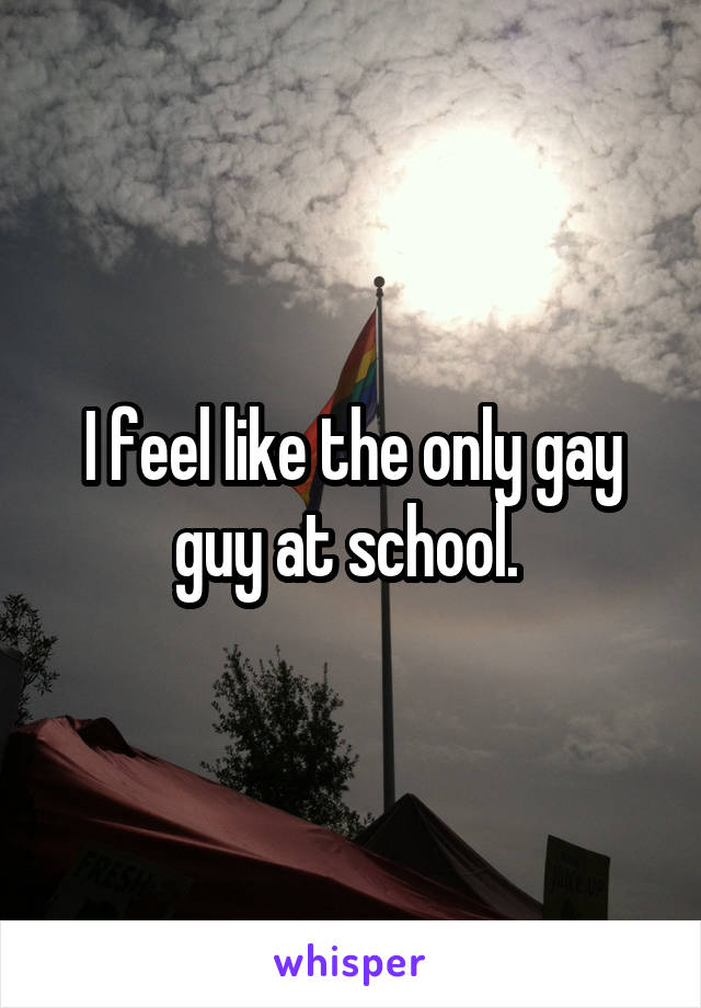 I feel like the only gay guy at school. 