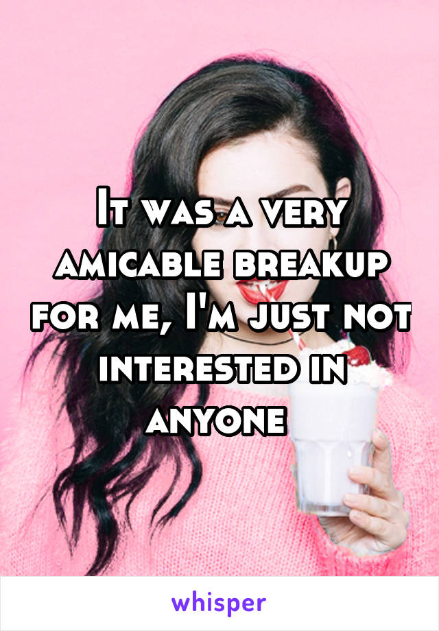 It was a very amicable breakup for me, I'm just not interested in anyone 