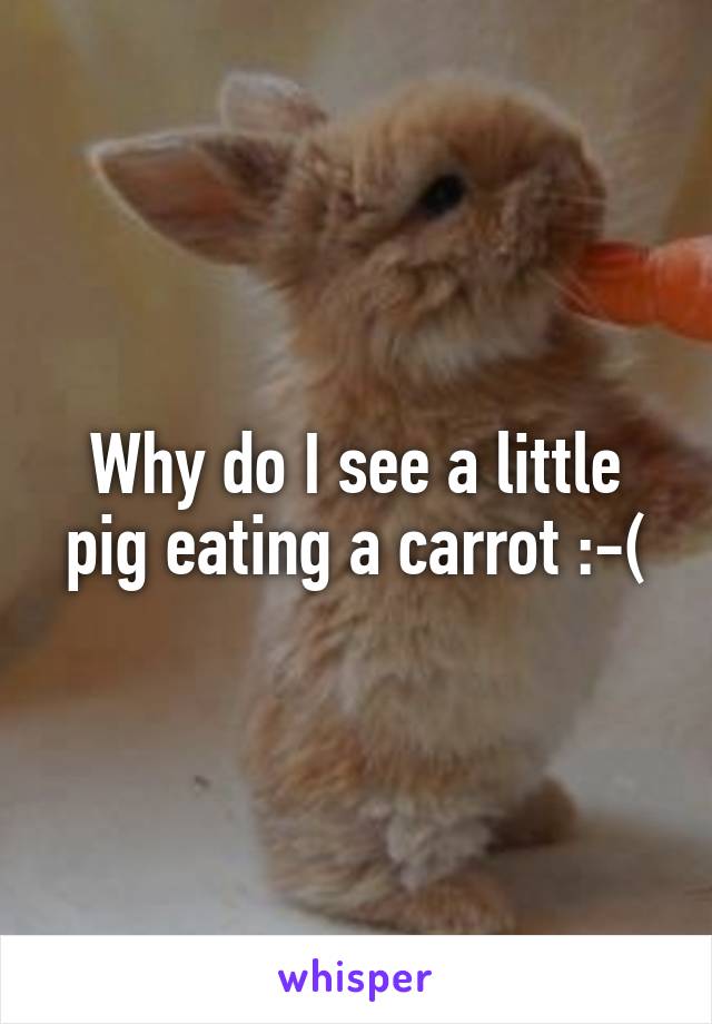 Why do I see a little pig eating a carrot :-(