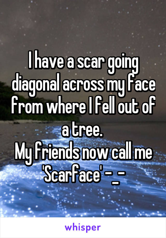 I have a scar going diagonal across my face from where I fell out of a tree. 
My friends now call me 'Scarface' -_-