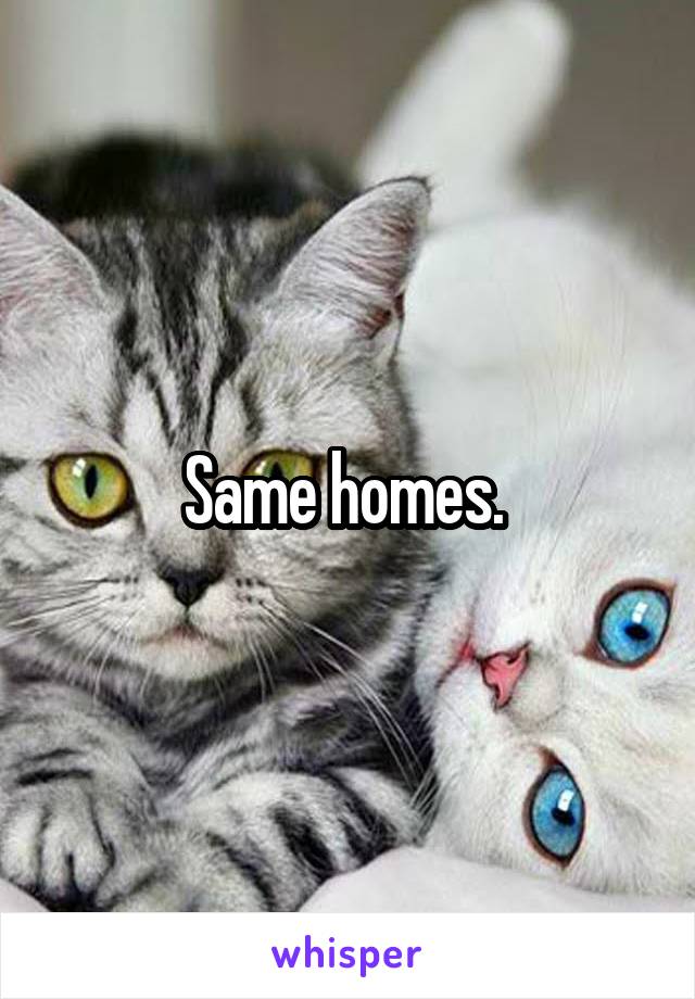 Same homes. 