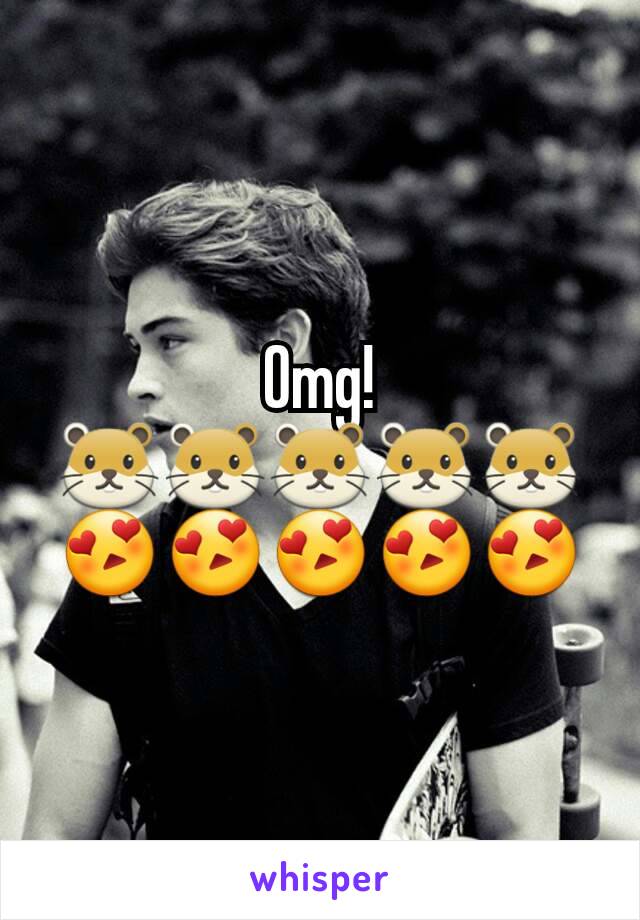 Omg! 🐹🐹🐹🐹🐹
😍😍😍😍😍