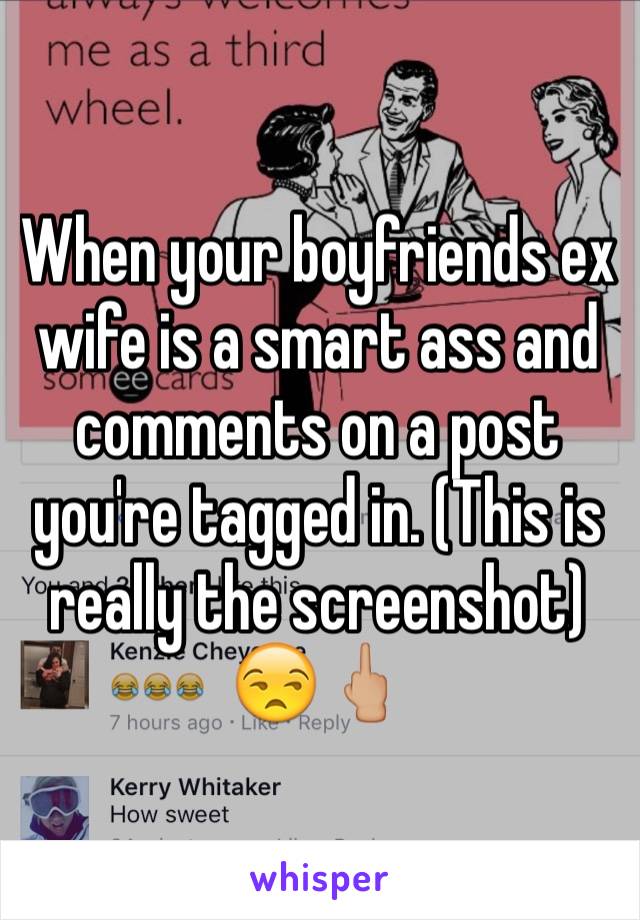 When your boyfriends ex wife is a smart ass and comments on a post you're tagged in. (This is really the screenshot) 😒🖕🏼