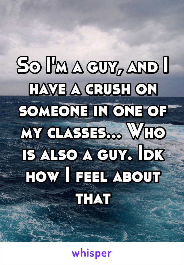 So I'm a guy, and I have a crush on someone in one of my classes... Who is also a guy. Idk how I feel about that