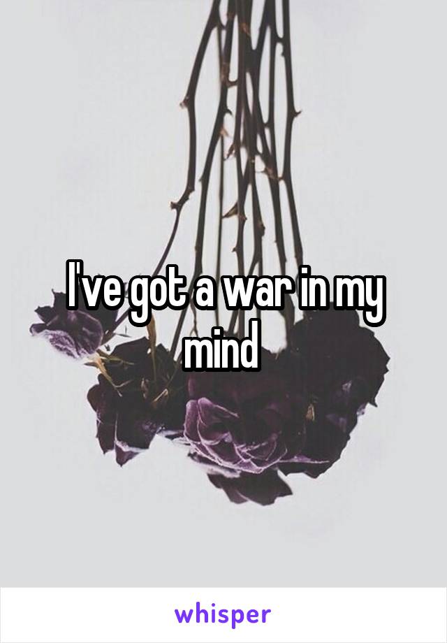 I've got a war in my mind 