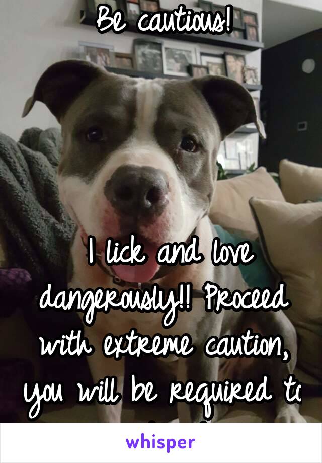 Be cautious!




 I lick and love dangerously!! Proceed with extreme caution, you will be required to pet me!