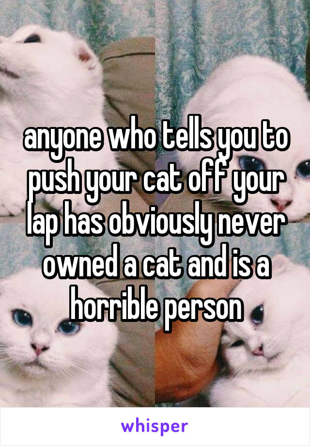 anyone who tells you to push your cat off your lap has obviously never owned a cat and is a horrible person
