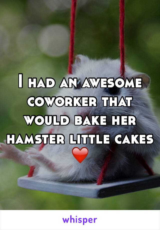 I had an awesome coworker that would bake her hamster little cakes ❤️