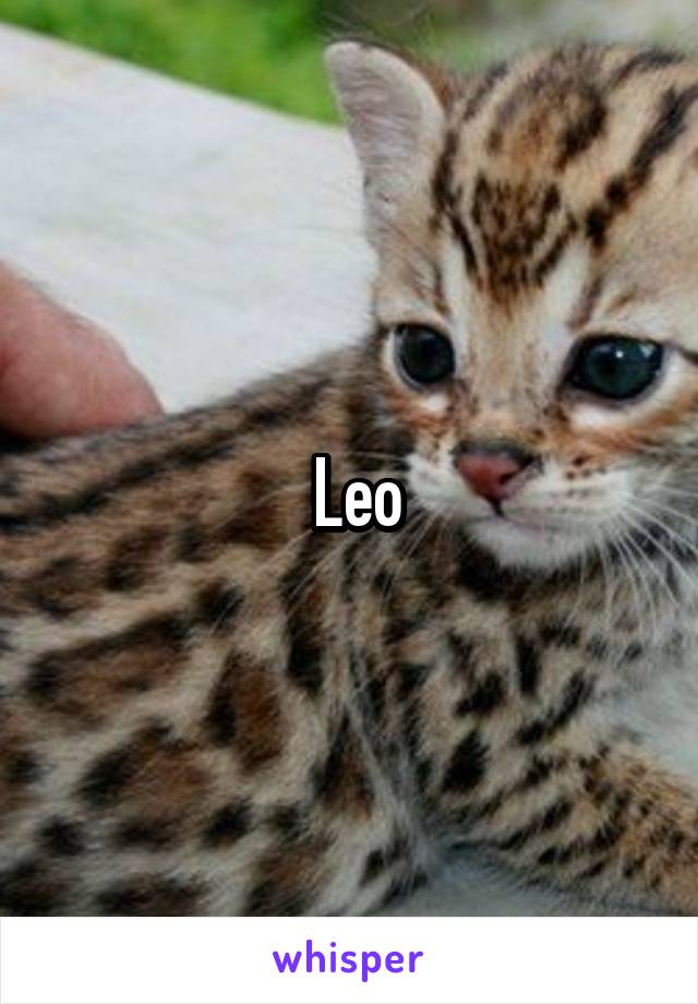  Leo