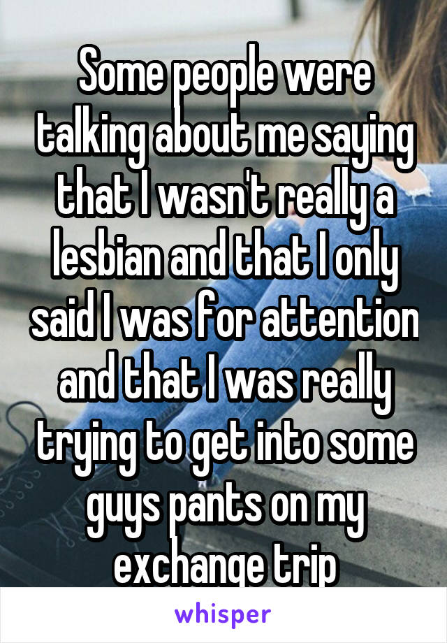 Some people were talking about me saying that I wasn't really a lesbian and that I only said I was for attention and that I was really trying to get into some guys pants on my exchange trip