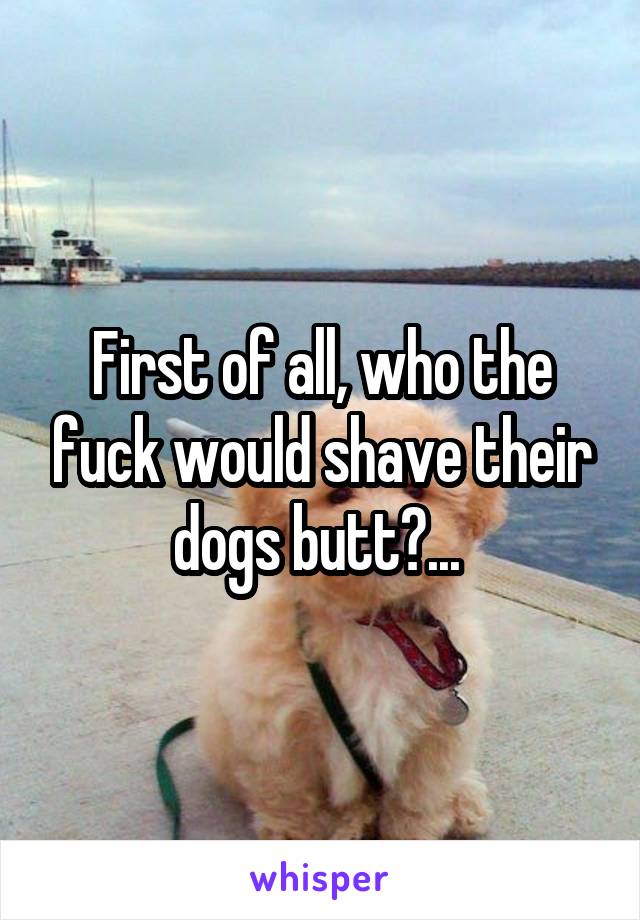 First of all, who the fuck would shave their dogs butt?... 