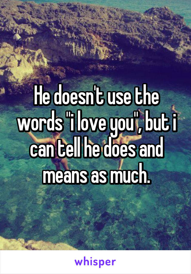 He doesn't use the words "i love you", but i can tell he does and means as much.
