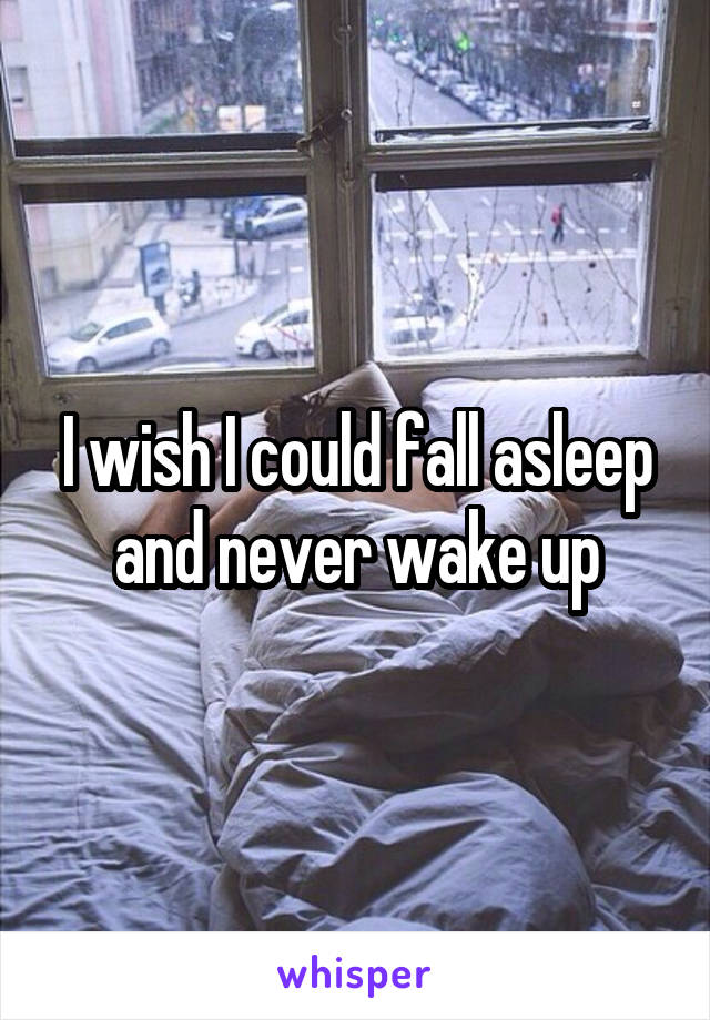 I wish I could fall asleep and never wake up