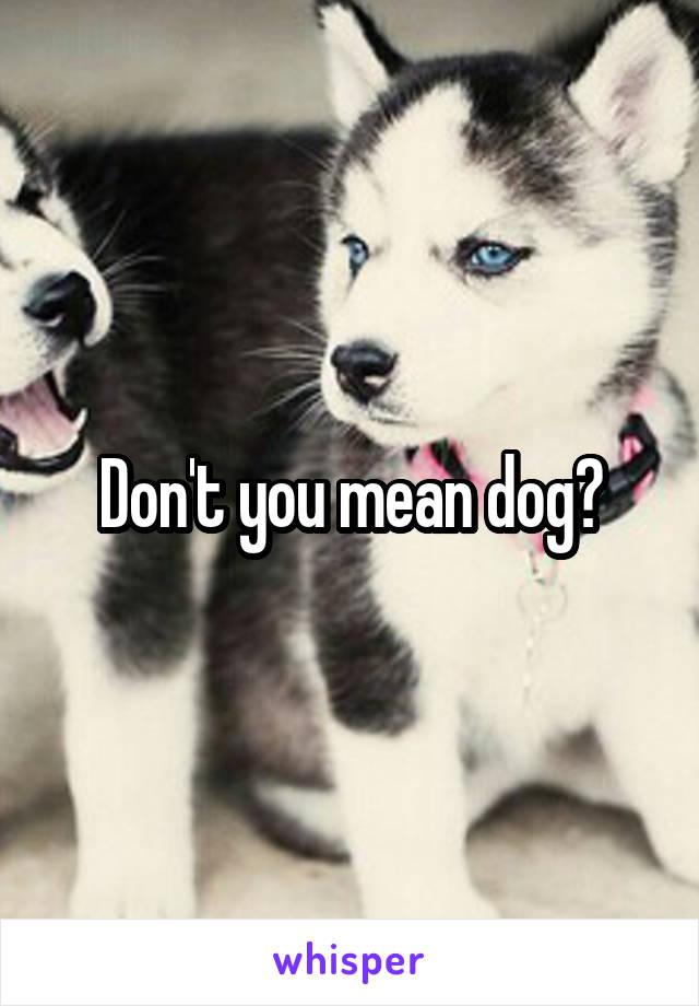 Don't you mean dog?