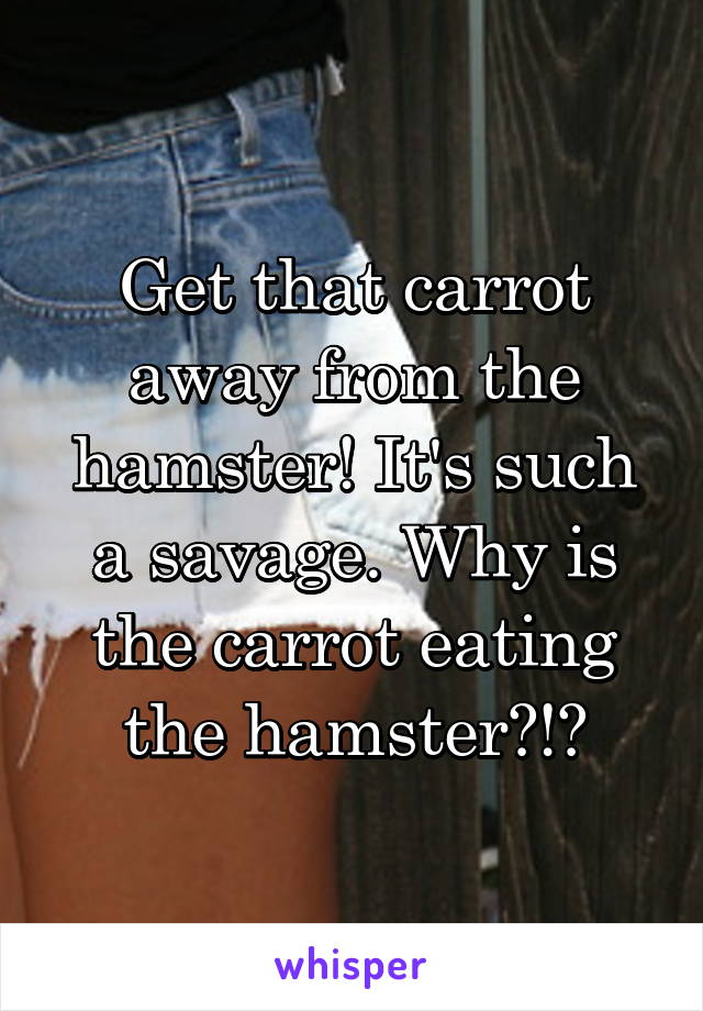 Get that carrot away from the hamster! It's such a savage. Why is the carrot eating the hamster?!?