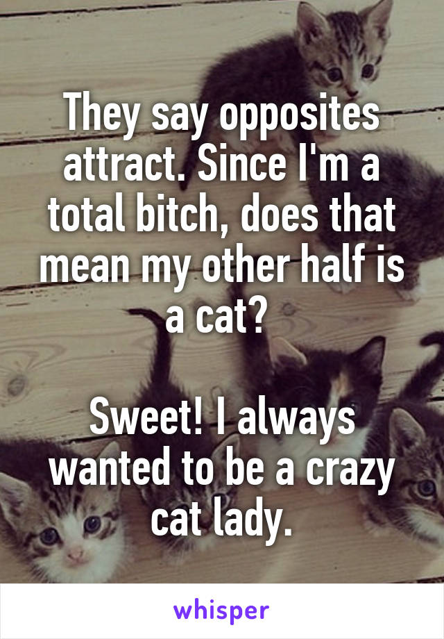 They say opposites attract. Since I'm a total bitch, does that mean my other half is a cat? 

Sweet! I always wanted to be a crazy cat lady.