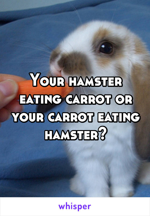 Your hamster eating carrot or your carrot eating hamster?