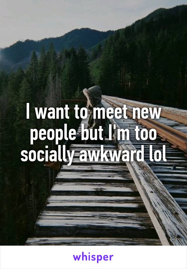 I want to meet new people but I'm too socially awkward lol