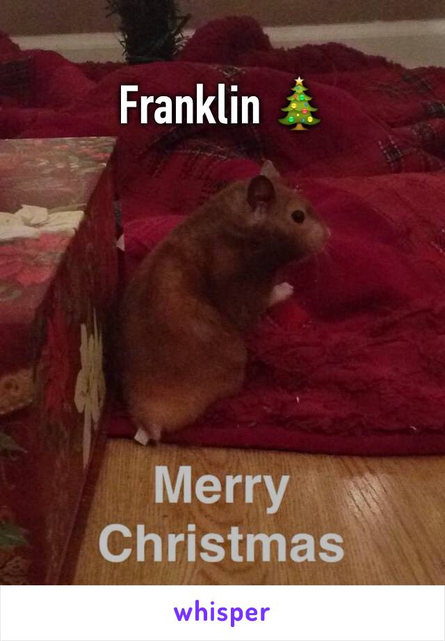 Franklin 🎄