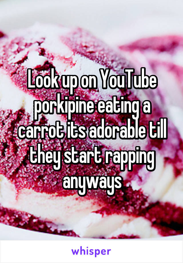 Look up on YouTube porkipine eating a carrot its adorable till they start rapping anyways