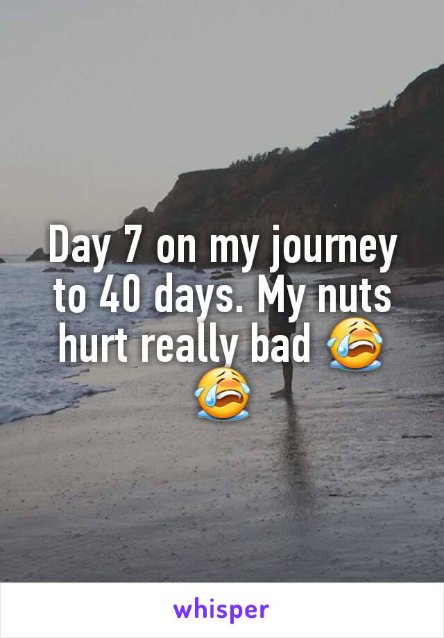 Day 7 on my journey to 40 days. My nuts hurt really bad 😭😭