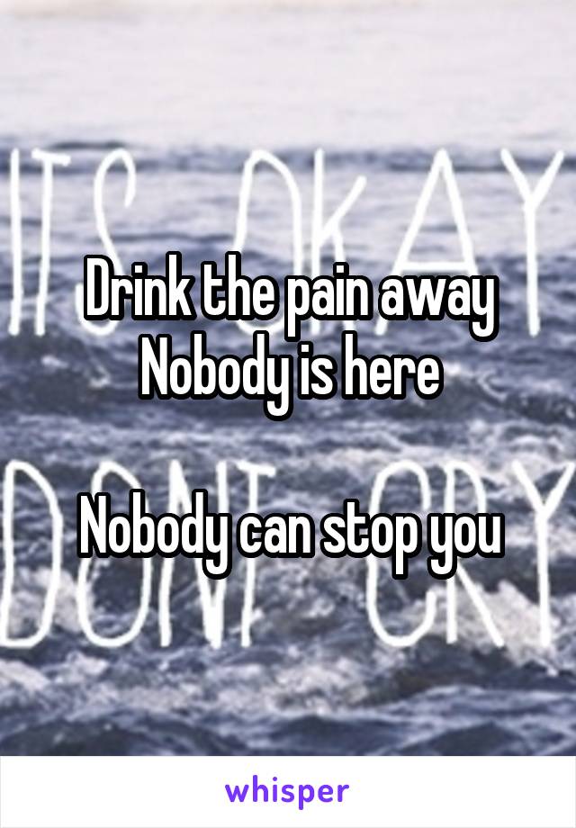 Drink the pain away
Nobody is here

Nobody can stop you