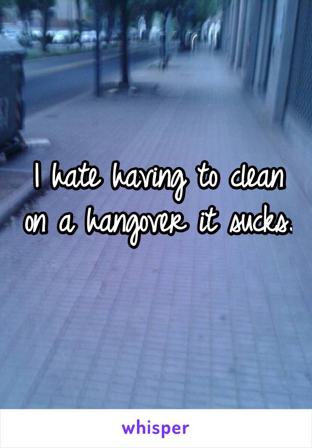 I hate having to clean on a hangover it sucks. 