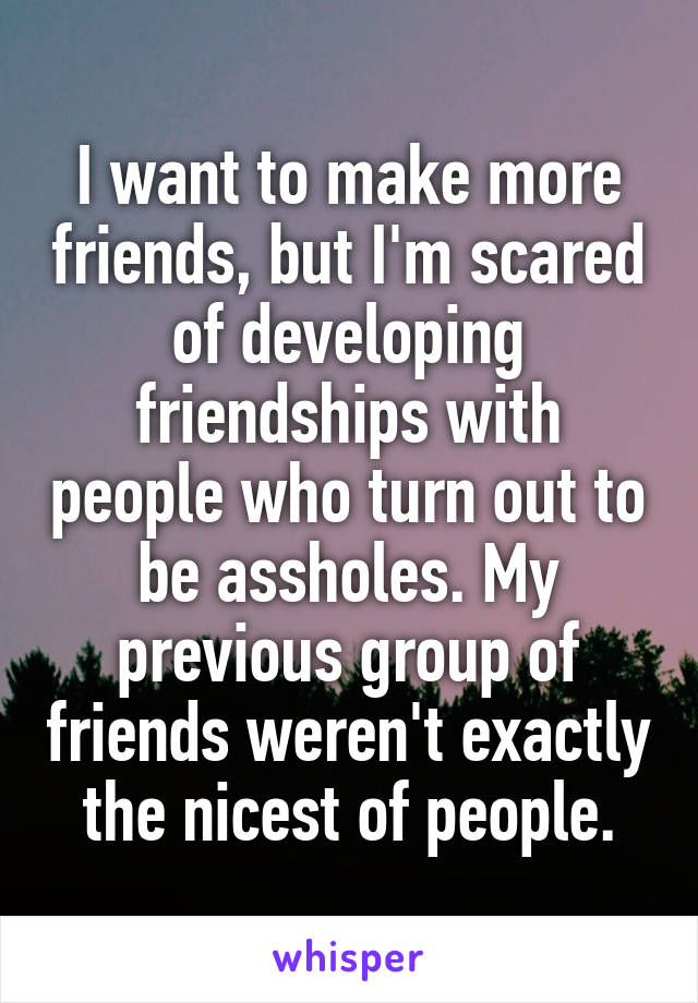I want to make more friends, but I'm scared of developing friendships with people who turn out to be assholes. My previous group of friends weren't exactly the nicest of people.