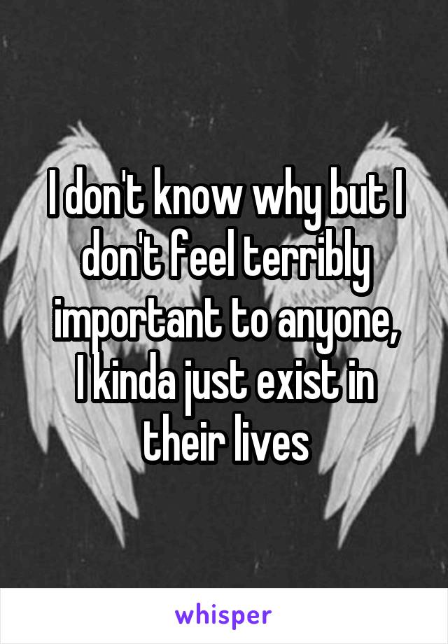 I don't know why but I don't feel terribly important to anyone,
I kinda just exist in their lives
