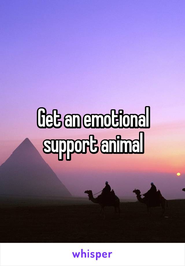 Get an emotional support animal