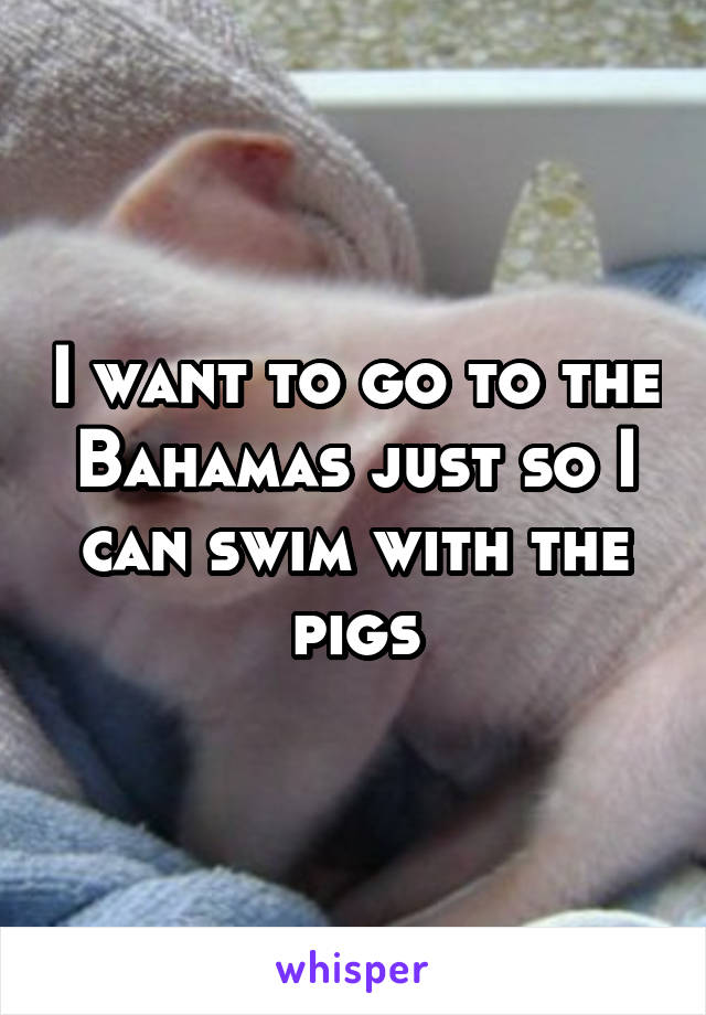 I want to go to the Bahamas just so I can swim with the pigs
