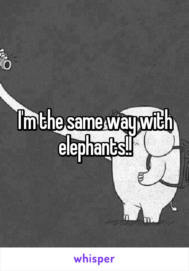 I'm the same way with elephants!!