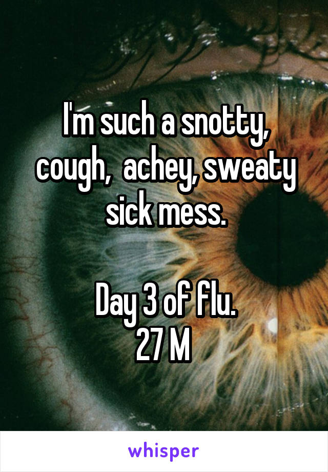 I'm such a snotty, cough,  achey, sweaty sick mess.

Day 3 of flu.
27 M 