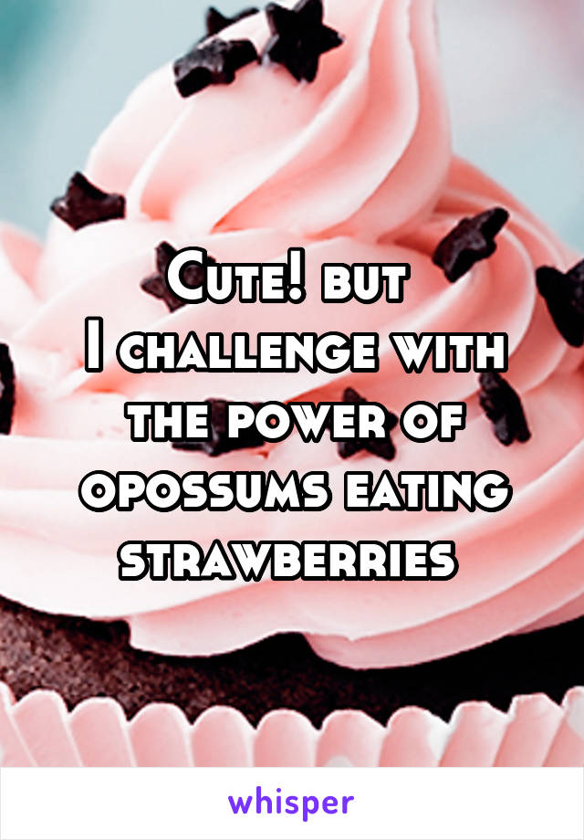 Cute! but 
I challenge with the power of opossums eating strawberries 