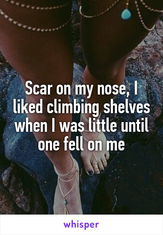 Scar on my nose, I liked climbing shelves when I was little until one fell on me