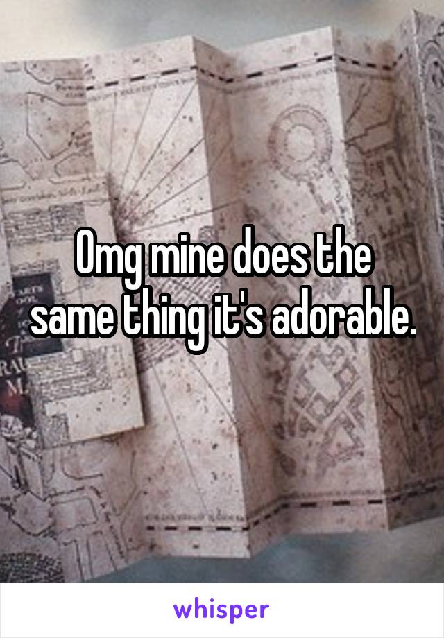 Omg mine does the same thing it's adorable. 
