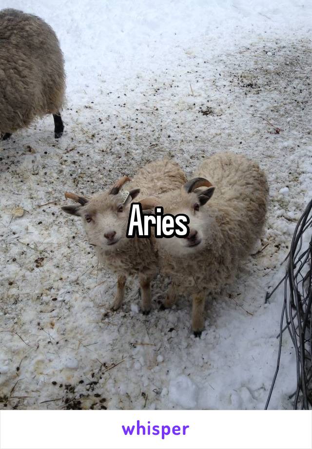 Aries