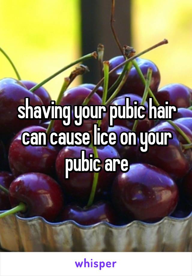 shaving your pubic hair can cause lice on your pubic are