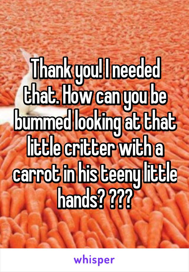 Thank you! I needed that. How can you be bummed looking at that little critter with a carrot in his teeny little hands? 😍😍😗