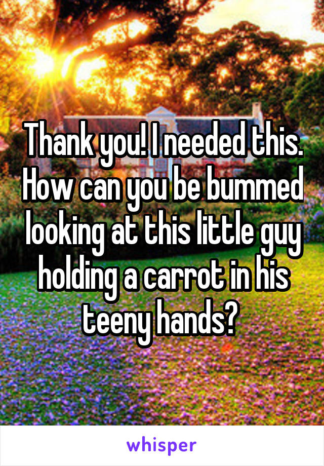 Thank you! I needed this. How can you be bummed looking at this little guy holding a carrot in his teeny hands? 