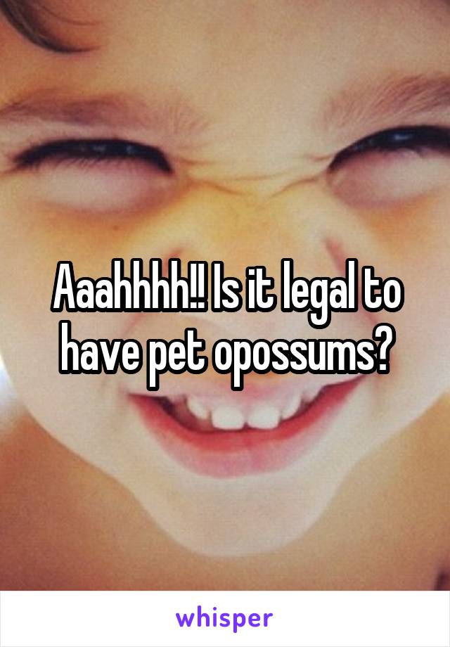 Aaahhhh!! Is it legal to have pet opossums?