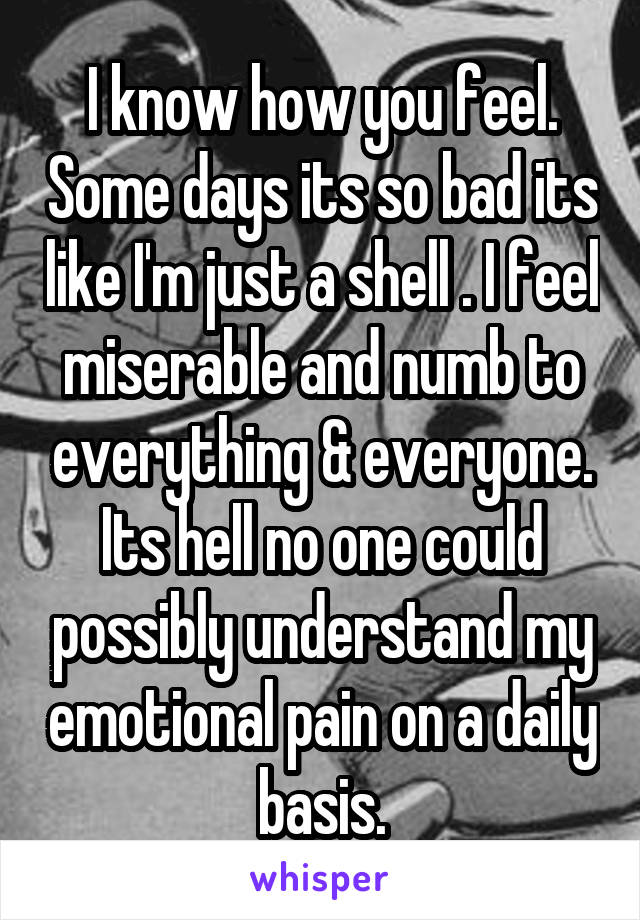 I know how you feel. Some days its so bad its like I'm just a shell . I feel miserable and numb to everything & everyone. Its hell no one could possibly understand my emotional pain on a daily basis.