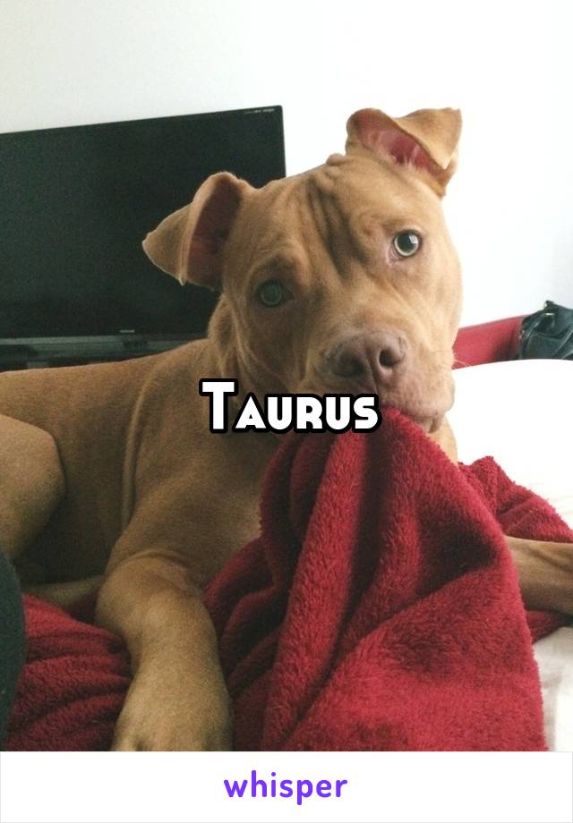 Taurus