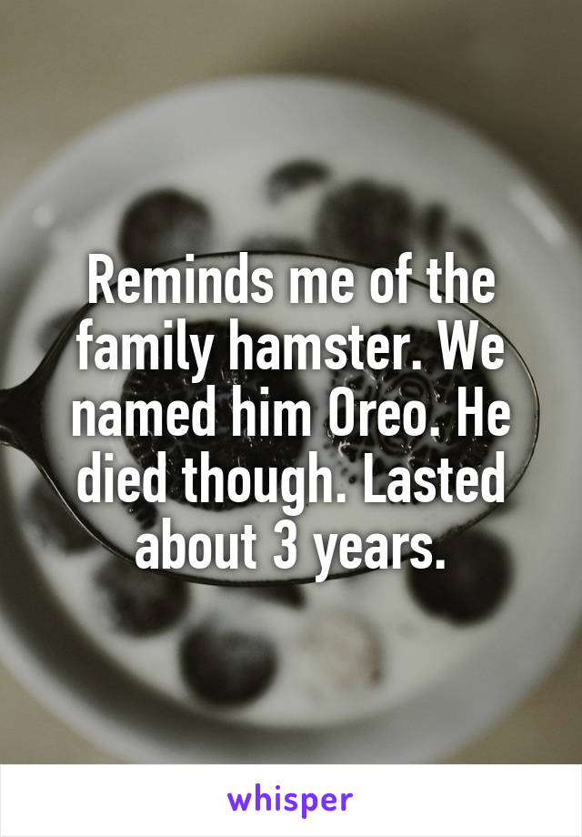 Reminds me of the family hamster. We named him Oreo. He died though. Lasted about 3 years.