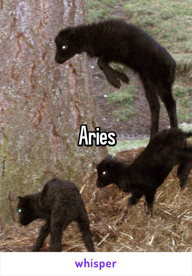 Aries