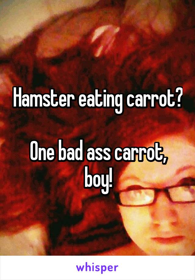 Hamster eating carrot?

One bad ass carrot, boy!