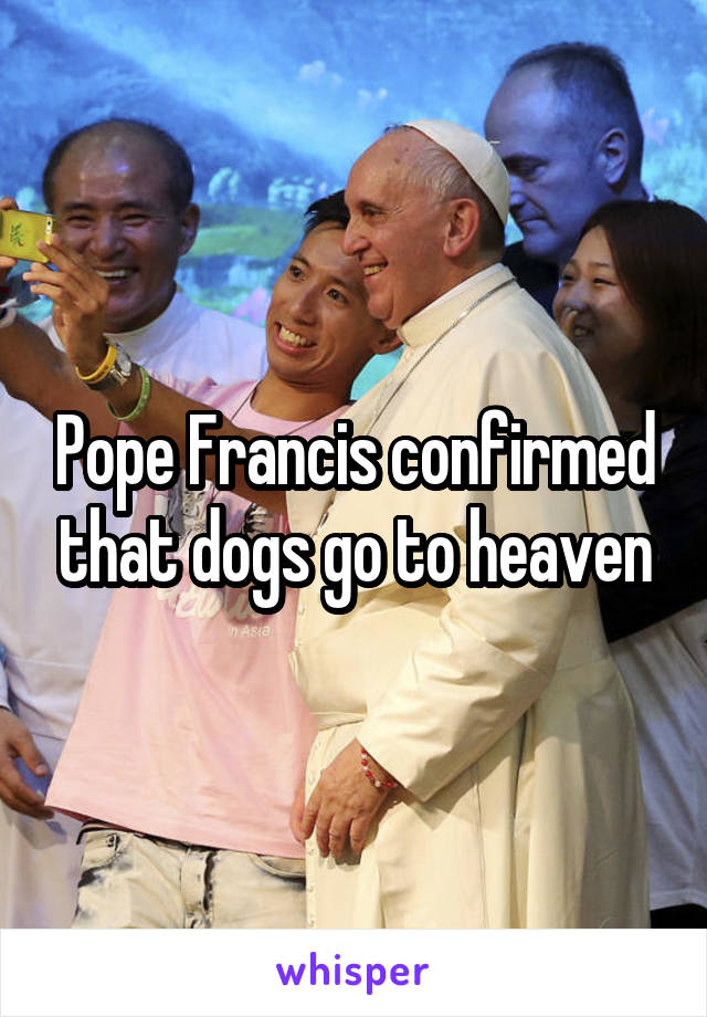Pope Francis confirmed that dogs go to heaven